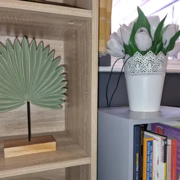 Closeup of bookcase and ornaments in room in the social support drop-in